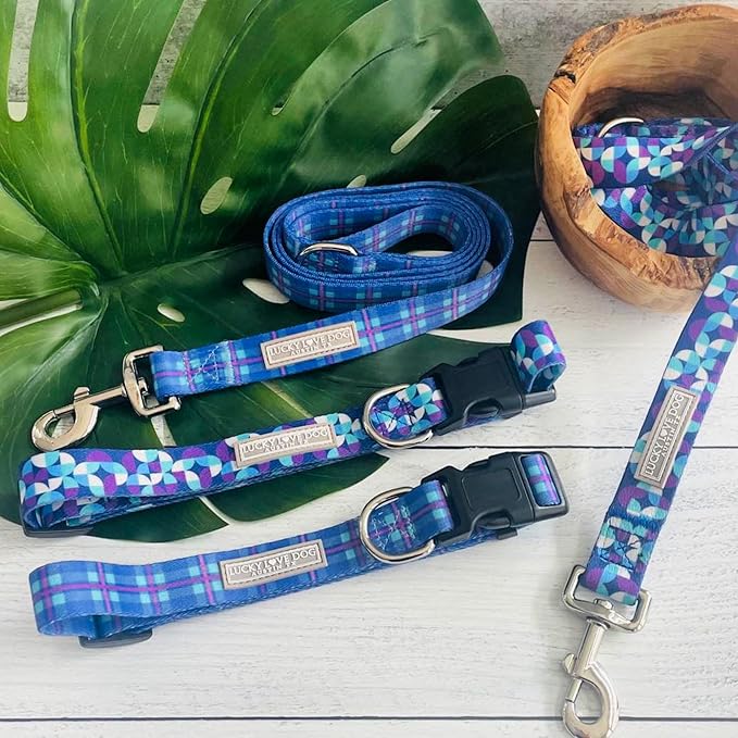 Lucky Love Dog - Adjustable Dog Collar and Leash Set with Easy Click Buckle for Medium Dogs, Durable, & Comfortable Collar for Male & Female Dogs, Puppies & Adult Ones - Jasper Combo, Medium