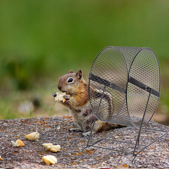 UKCOCO Silent Hamster Running Wheel 8.5 Inch Quiet Exercise Toy with Stable Rack for Small Pets Hedgehogs Chinchillas and Squirrels