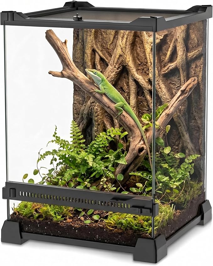 Mini Reptile Glass Terrarium 8"x8"x12" Durable Reptile Habitat Tank with Heat Resistant Aluminum Alloy Frame, Single Swinging Doors for no Jam by Sand and Other Debris