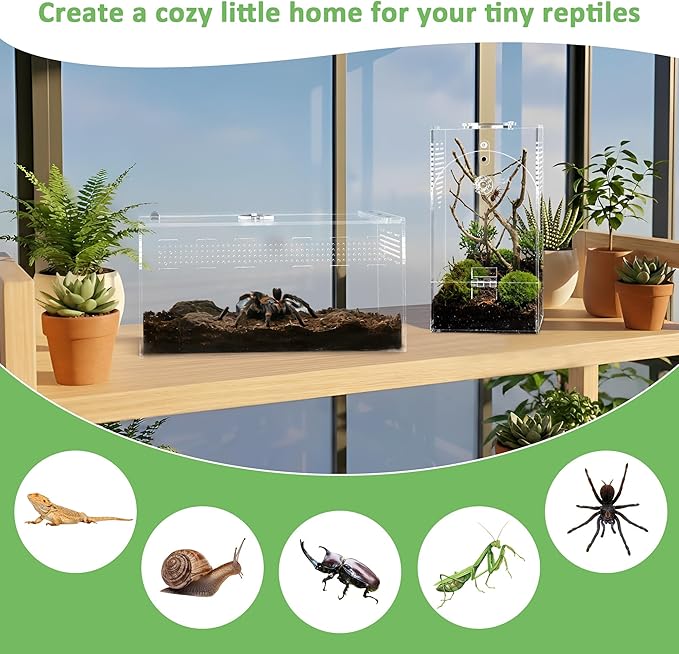 Acrylic Spider Enclosure 2 Pack, No Assembly Mixed Size Terrarium for Jumping Spider & Tarantula (L)