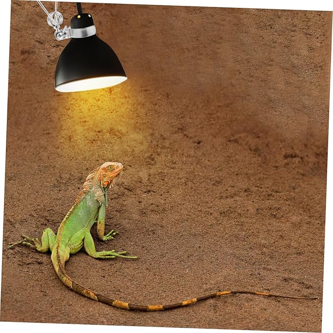Toddmomy 2pcs Adjustable Clamp Stand for Reptile Heat Lamps and Lamp Holder Flexible Height and Angle for Turtles and Other Pets