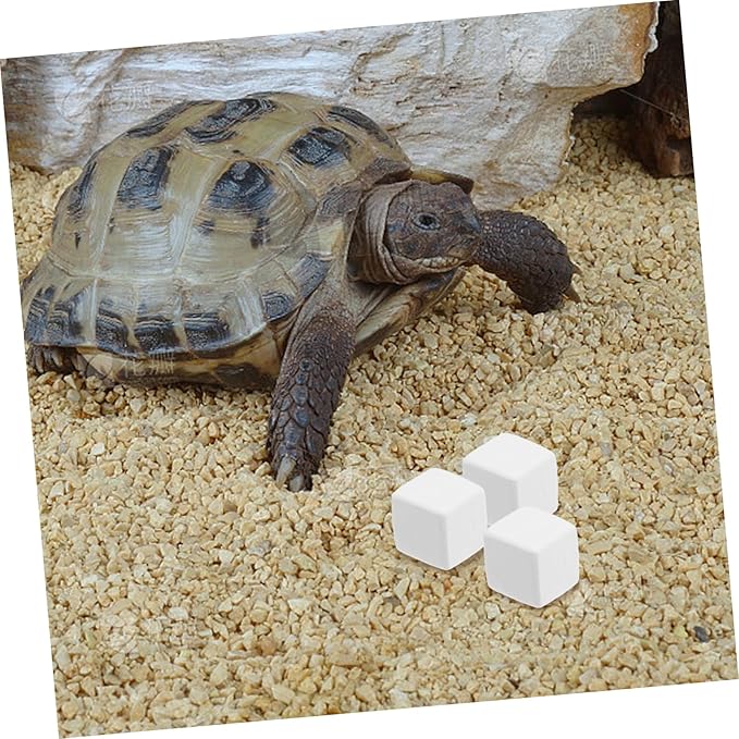 Toyvian 6pcs Mineral Stones for Reptile Tank Crab Soil Chinchilla Lava Bite Blocks