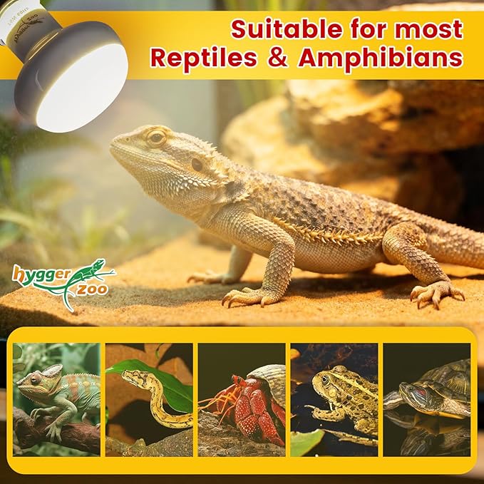 75W Reptile Heat Lamp Bulbs 2-Pack — UVA Daylight & Infrared Night Combo, Efficient Basking Light for Bearded Dragon, Lizard, Turtle, Chicken, E26 Base