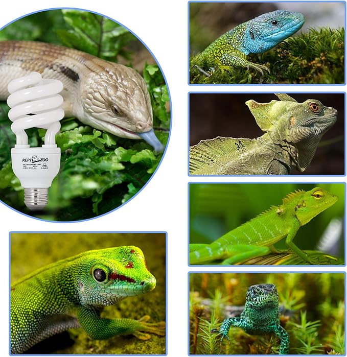 REPTI ZOO Energy Saving Lamps UVB Bulb,Spiral Compact 15 Watts 26 Watts UVB 5.0 Reptile Light Bulb Fit for Rainforest Type Reptile/Snake/Lizard/Insect/Turtle/Tortoise