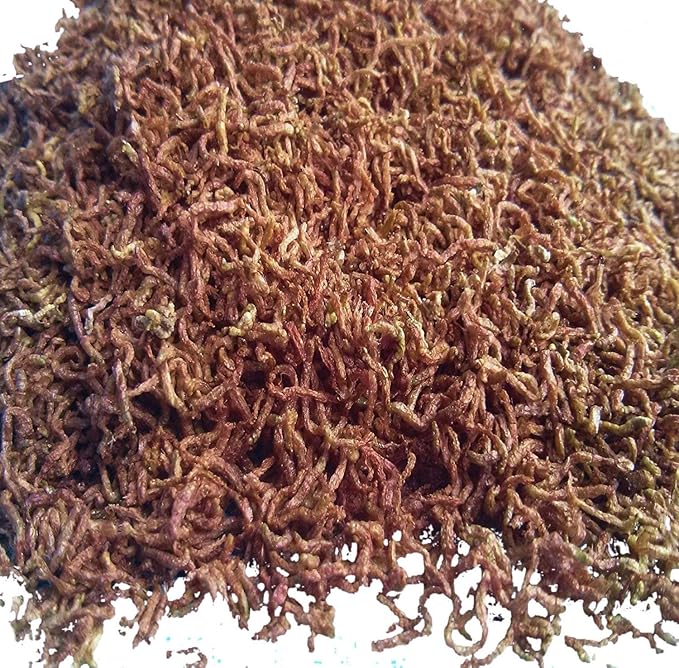 Aquatic Foods Inc. Bloodworms, Freeze Dried Fresh Grade A Floating Bloodworms for All Tropical Fish, Bettas, Discus, Cichlids, Community Fish, Turtles, Carnivores. Shipped from Calif...2-lbs