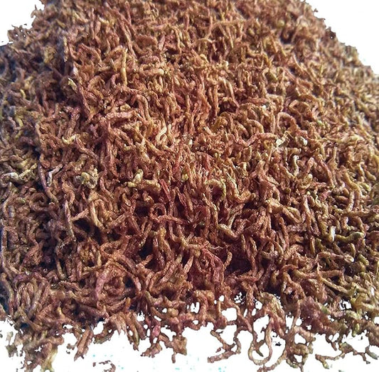 Aquatic Foods Inc. Bloodworms, Freeze Dried Fresh Grade A Floating Bloodworms for All Tropical Fish, Bettas, Discus, Cichlids, Community Fish, Turtles, Carnivores. Shipped from Calif...1/4-lb