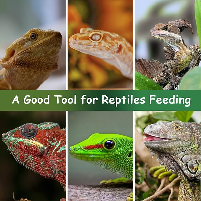 NANEEZOO Cricket Powder Mixer, Reptile Calcium Mixer, Uniformly Mix Reptile Feed, Insect Nutrients Shaker for Gecko Chameleon Snake Lizards