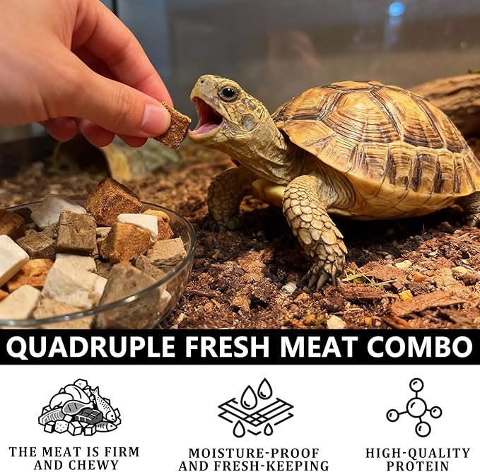 Freeze-Dried Chicken, Duck, Beef & Salmon for Turtles Treats| 3 oz Canister of Premium Protein Turtle Food | Natural Diet for Aquatic Turtles, Red Eared Sliders & Tortoises (3 oz)