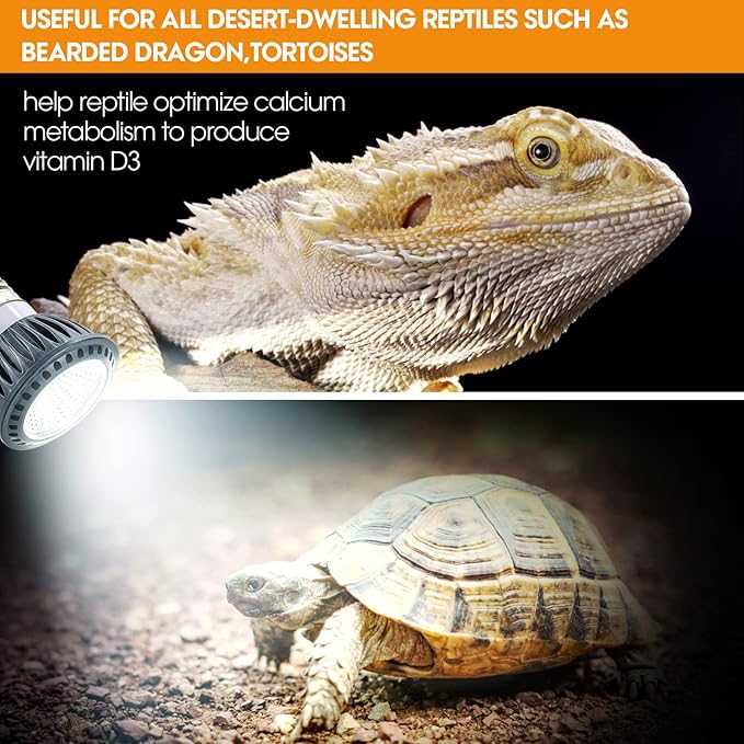 5.5 Inch Reptile Deep Dome Light Fixture UVB Reptile Light