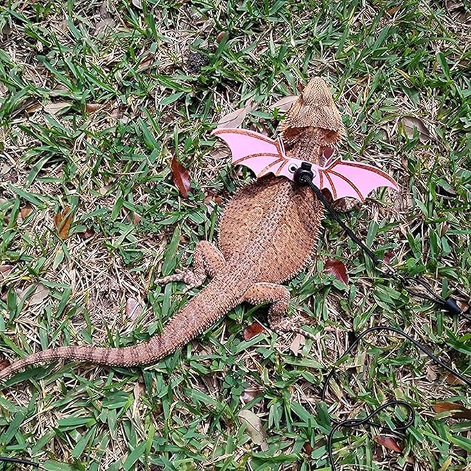 3 Pc Set Leash and Harness for Bearded Dragons - 3 Size Adjustable Cool Leather Lizard Harness with Wings for Reptile Safety Walking Accessories Orange