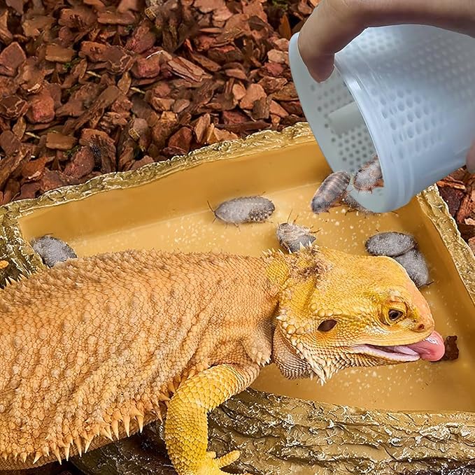NANEEZOO Cricket Powder Mixer, Reptile Calcium Mixer, Uniformly Mix Reptile Feed, Insect Nutrients Shaker for Gecko Chameleon Snake Lizards