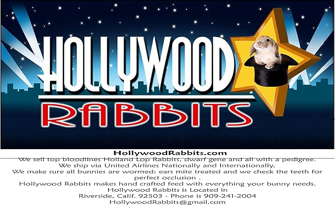 Hollywood Rabbit Feed