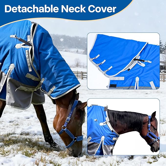 Winter Horse Blanket Horse Turnout Blanket Waterproof 1200D 260g Filled Medium Weight Horse Blanket with Detachable Neck Cover