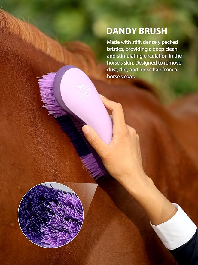 Harrison Howard Horse Grooming Brush Set, 7 Essential Grooming Brushes for Daily Horse Care, Body, Mane, Tail & Shedding Use Purple