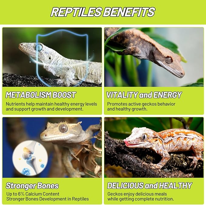 Crested Gecko Food, Fruit Mix Banana Complete Diet Gecko Food 2oz