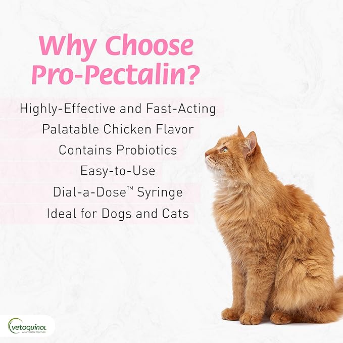 Vetoquinol Pro-Pectalin Oral Paste for Dogs & Cats, Helps Relieve Occasional Diarrhea, Situational Diarrhea Relief with Kaolin and Pectin, Contains Beneficial Probiotic Bacteria, 30cc - Pack of 2