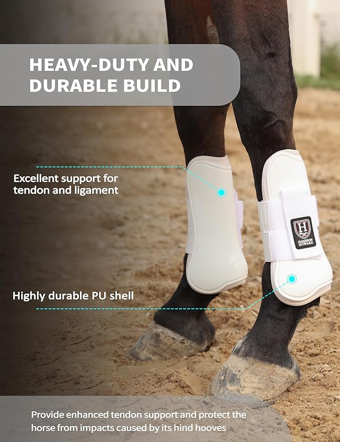 Harrison Howard Horse Tendon Boots Open Front/Fetlock Boot for Horse Protective Boots for Jumping, Trail Riding Set of 4