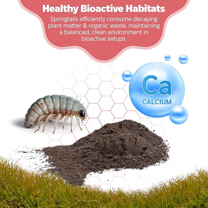 Snout and Shell Springtail Calcium Bearing Clay - 2 lb | Ideal for Culturing Springtails, Reptile and Amphibian Terrariums, and Natural Habitat Cleanup Crew