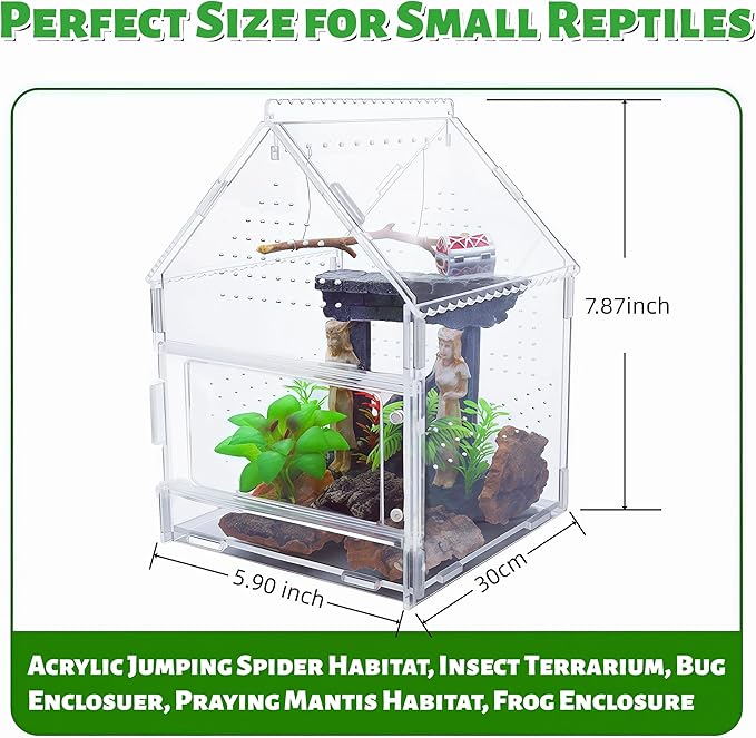 Acrylic Jumping Spider Enclosure with Magnetic Front Door - 360° View Reptile Terrarium for Tarantulas, Insects Hermit Crab - Includes Hanging Beam & Escape-Proof Ventilation (7.87x5.9x5.9 Inch)