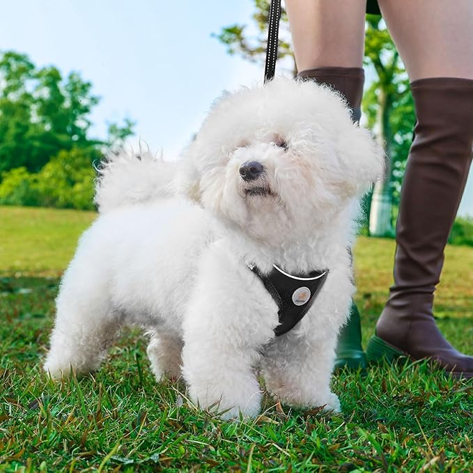 Hipubby Dog Harness and Leash Set, No Pull Soft Mesh Puppy Harness for Small Medium Dogs, Cats - Step in Adjustable Reflective Pet Harness with Buckle and Double D-Rings - Black, XS