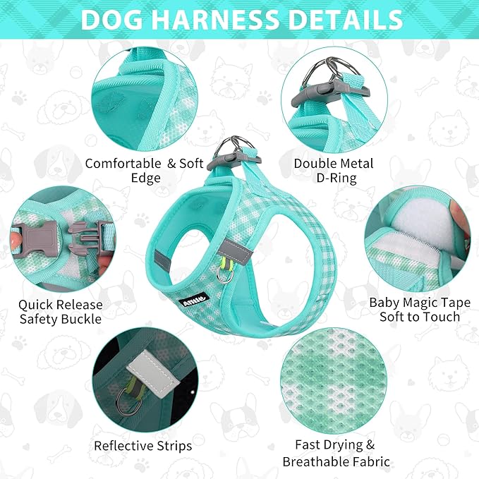 AIITLE No Pull Dog Harness and Leash Set, Step in No Chock Soft Mesh Dog Harnesses Reflective for Extra-Small Puppy Dogs and Cats, Plaid Dog Vest Harness for Pets Turquoise XXS