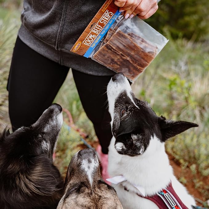 Cadet 100% Beef Strips Dog Chew Sticks, Long-Lasting Single-Ingredient Natural Treats, High-Protein, Perfect for Small & Large Breeds, 12 oz (Pack of 2)
