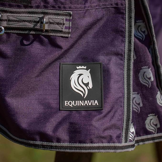 Equinavia Norse 200g Medium Weight Horse Blanket | Waterproof Winter Turnout - Black - 66 in - Grape Purple - 84 in