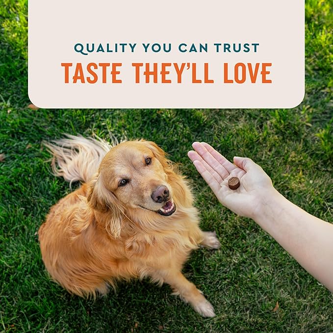 VetIQ Allergy Pro+ Soft Chews for Dogs, 60 Count, Seasonal Allergy Support, Colostrum, Astragalus Root, Sporevia, Hickory Smoke Flavor (Pack of 2)