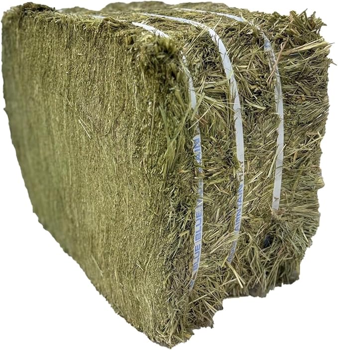 Blue Mountain Hay High-Altitude Alfalfa Hay Easy Flake Box (50 lb),Leafy Texture, High Protein Fiber & Minerals, Easy Storage Feed Solution for Homestead Use