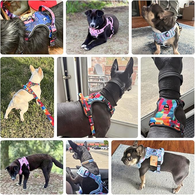 BEAUTYZOO No Pull Dog Harness Large, Adjustable Dog Harness and Leash Set -Easy Wearing with 3 Buckles/Control Handle,No Choke Soft Padded Reflective Pet Vest for Training Walking Hiking, XL