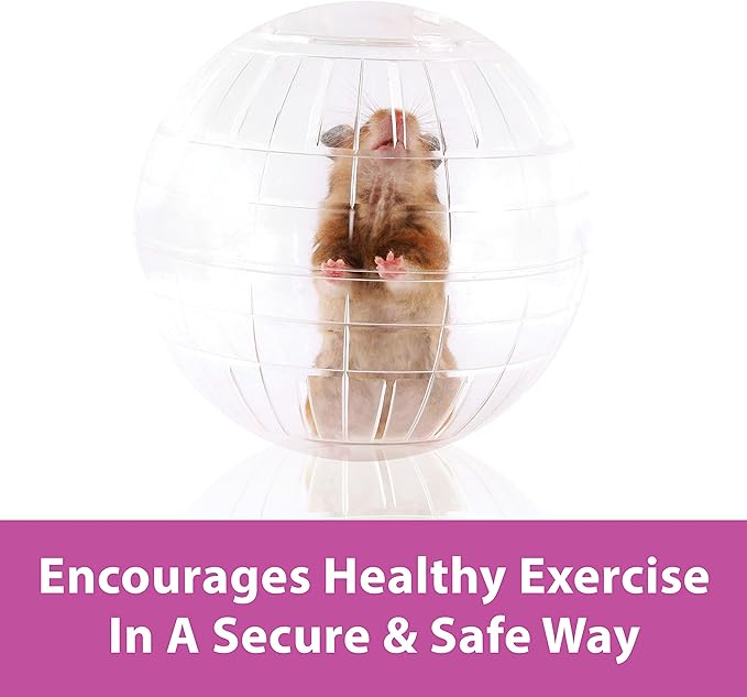 Kaytee 11.5" Clear Run-About Exercise Ball For Pet Rats & Chinchillas