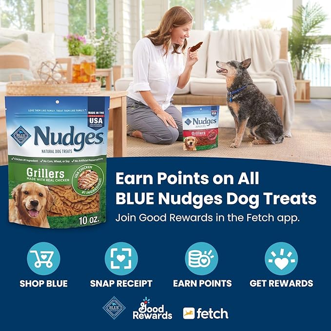 Blue Buffalo Nudges Homestyle Natural Dog Treats Chicken and Bacon, 16-oz Bag (Pack of 4)