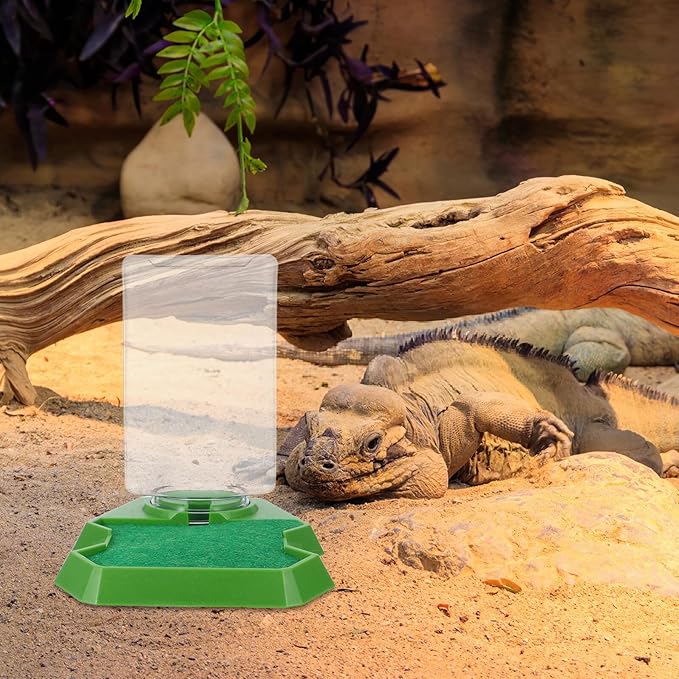 Reptile Water Dispenser and Feeding Dish, Small Green Water Feeder for Gecko and Lizard Terrarium, Hydration Accessory for Reptile Enclosure and Tortoise Care