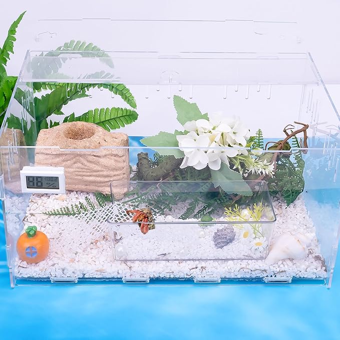 U0U 2 Pack Hermit Crab Water Tank with Climbing Ramps and Salt Water for Medium or Large Hermit Crab Habitat