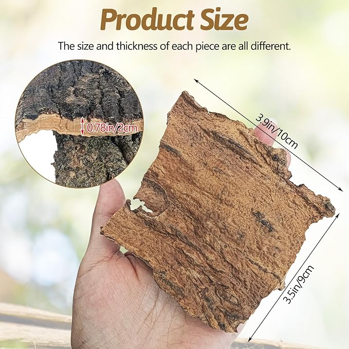 BNOSDM Reptile Cork Bark Substrate 1LB Tortoise Bedding for Habitat Natural Flat Cork Wood Bulk Terrarium Reusable Champagne Bark for Lizard, Crested Gecko, Spider, Chameleon, Ball Python, Tree Frog