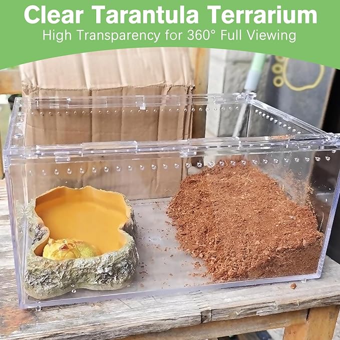 Reptile Terrarium Enclosure 8"x6"x4" Acrylic Tarantula Breeding Box Magnetic Hermit Crab Habitat Transparent Jumping Spider Cage for Insect Snail Amphibians Sling Isopods