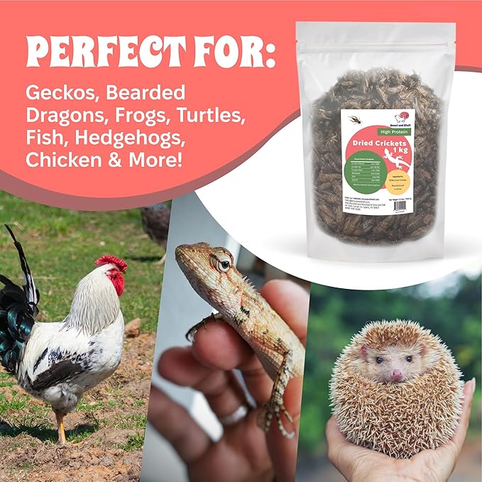 Dried Crickets (2.2 lbs) for Reptiles, Birds, and Small Pets - Natural Insect Food with Essential Nutrients - 1 kg