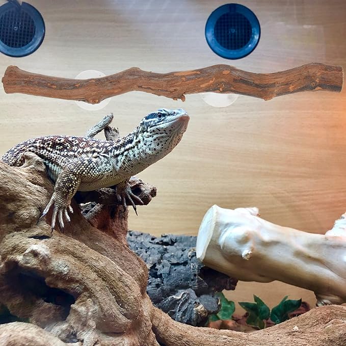 NUOBESTY Bearded Dragon Wooden Tree Branch Rack Lizard Climbing Toy Natural Reptile Decor for Terrarium Encourages Exercise Coordination for Reptiles Pets