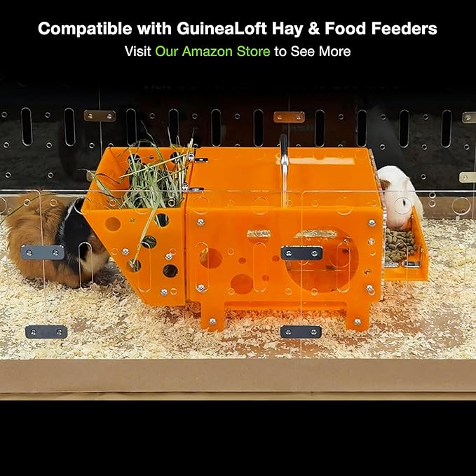 GuineaLoft™ Guinea Pig Cheese House (Double) V2 - The Ultimate Guinea Pig Hideout by Seasoned Owners Who Tried Everything Out There - Exclusive by Guinea Loft