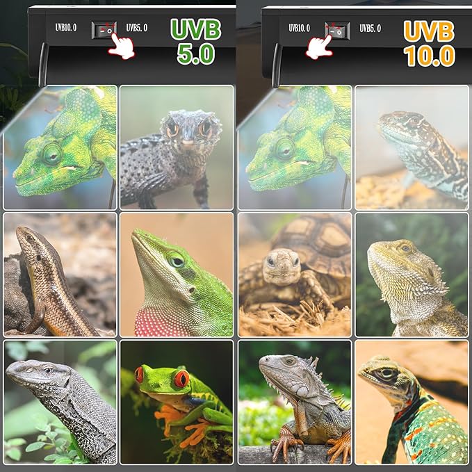 Switchable UVB Light for Reptiles, 24W T5 UVB Light Combo Kit for Tropical 5.0 & Desert 10.0, 22.6" Terrarium Hood Lamp Fixture with UVB 10.0 Bulb for Bearded Dragon Gecko Snake Lizard Turtle