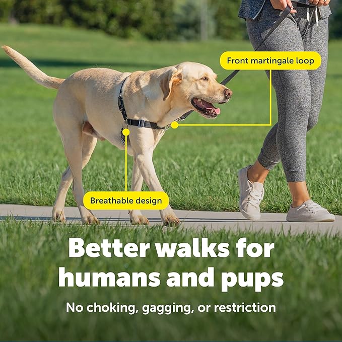 PetSafe Easy Walk Harness for Dogs - Pull-Free Walks - Patented Martingale Loop Design - Front Chest Leash Attachment - Comfort Straps - Breathable Harness Design - Medium, Deep Purple/Black