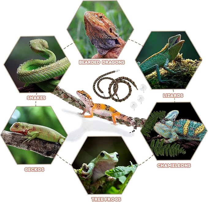 2 Pcs Reptile Vines for Climbing Bendable Jungle Vines Made of Handmade Umbrella Cord Weaving Rope Decor with 3 Suction Cup Accessories for Chameleon Crab Lizards Snakes Gecko Frog Hermit Crab