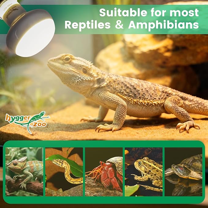 Reptile Heat Lamp Bulbs 100W (2-Pack) – Efficient Heating & Simulated Sunlight Basking Light for Amphibians, Bearded Dragon, Lizard, Turtle, Chicken – E26 Base