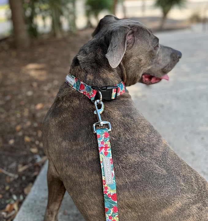 Lucky Love Dog - Easy Click Buckle Dog Collar with Leash Set Combo, Durable & Comfortable for Male & Female Dogs, Pet Collar for Large Dogs, Secure Fit - Ginny Combo, Large