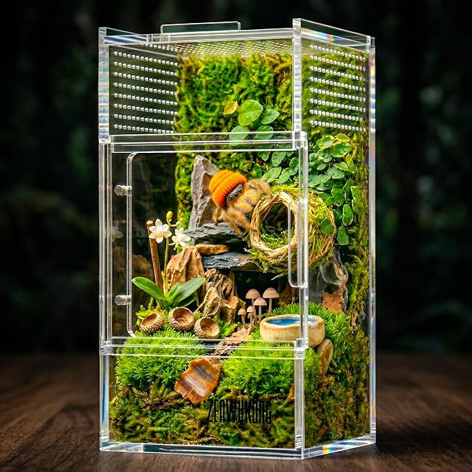Jumping Spider Enclosure - Acrylic Terrarium Habitat for Spiders, Tarantulas, Snail, Mantis, Lizard, and Small Reptiles, Magnetic Doors (3x3x6 inch)