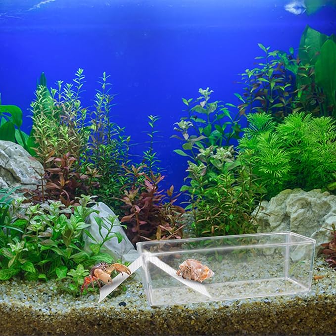 2 Pack Large Transparent Hermit Crab Tank with Climbing Ramp, Aquarium Tank Cage Salt Water Pool Accessories, Habitat for Small to Large Hermit Crab