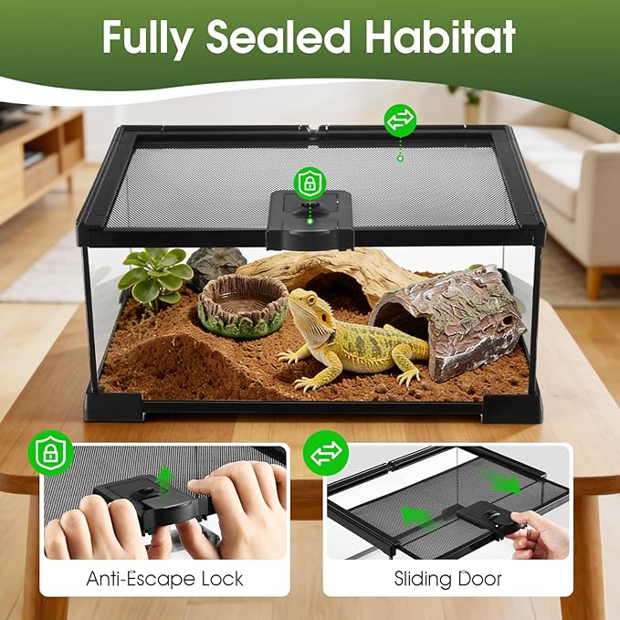 Reptile Terrarium Glass Kit 12" x 8" x 6" Starter Habitat for Tarantula, Succulents, Frogs, or Hermit Crabs, Tank with Escape-Proof Locking Lid