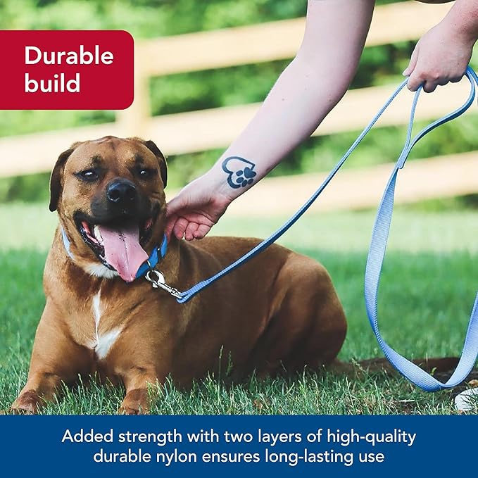 Coastal Pet Double-Ply Dog Leash - Bolt Snap Attachment to Collars and Harnesses - Nylon Dog Walking Leash for Small, Medium and Large Dogs - Teal - 1" x 6'