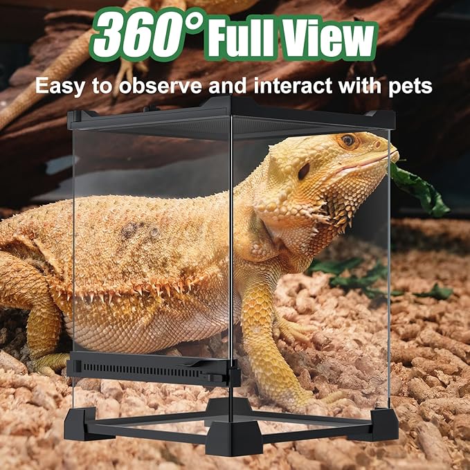 Reptile Terrarium 8"x8"x12" Mini, Front-Opening Glass Tank with Mesh Lid & Lock, 360° Glass Enclosure for Small Reptiles, Frogs, Tarantulas, Jumping Spiders & Geckos