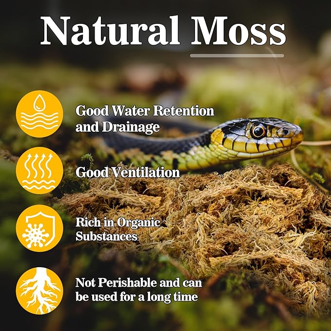 RAINFLOW Sphagnum Moss for Reptiles - 5.6 OZ Reptile Peat Moss for Terrarium Bedding Reptiles Snake Substrate for Reptile Tank, Snake, Leopard Gecko, Ball Python, Crested Gecko, Turtle, Frog, Hamster